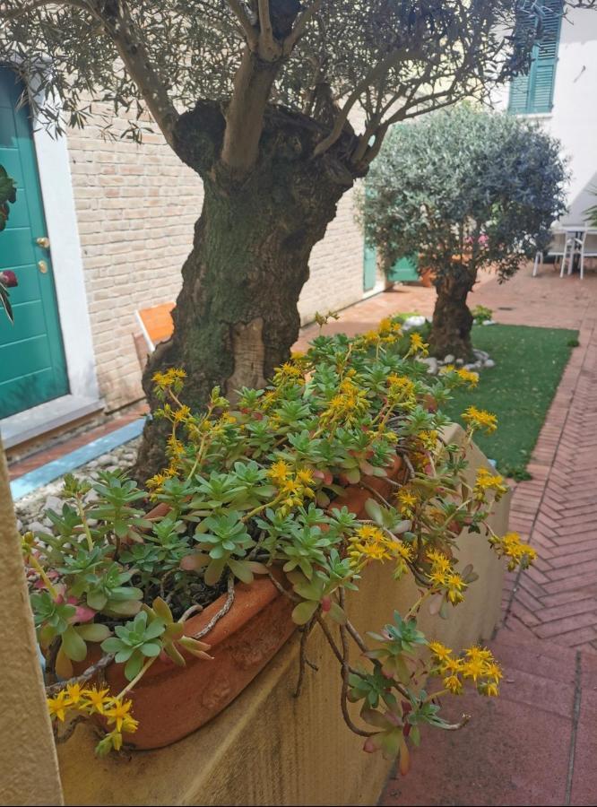 B&B La Chicca Ravenna Esterno foto