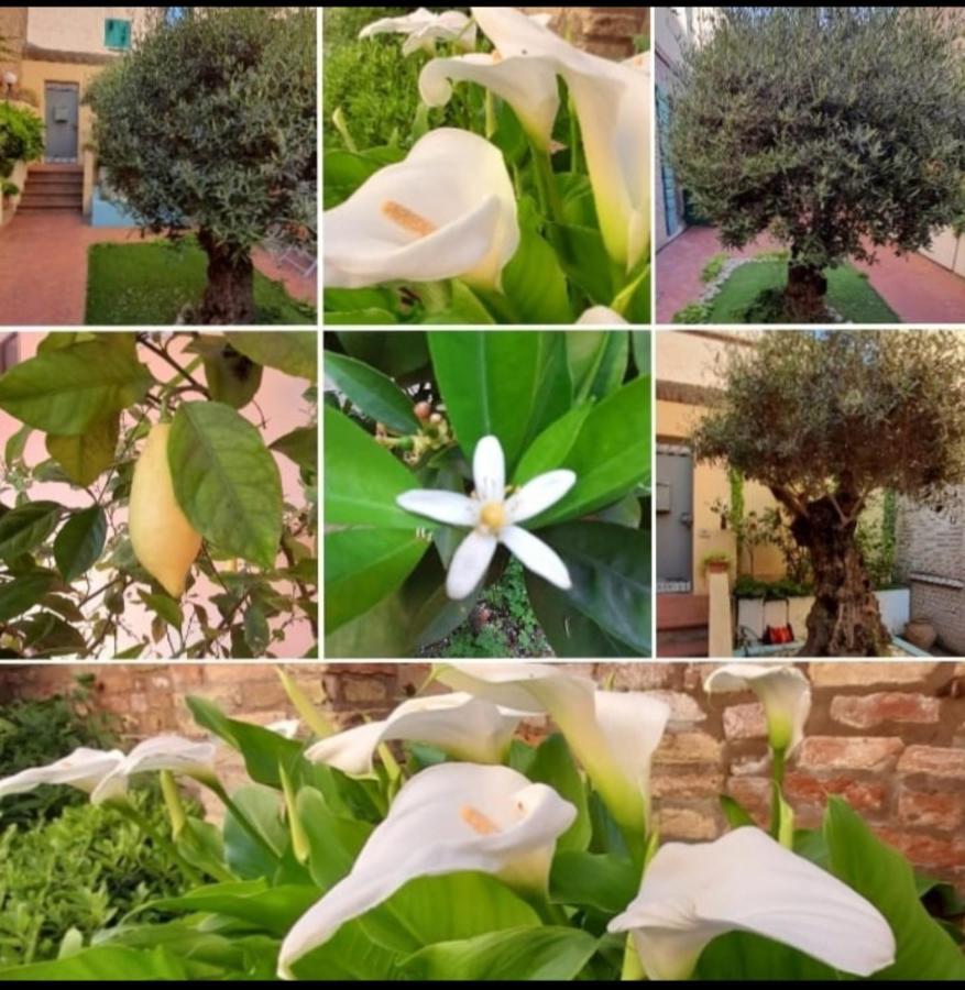 B&B La Chicca Ravenna Esterno foto